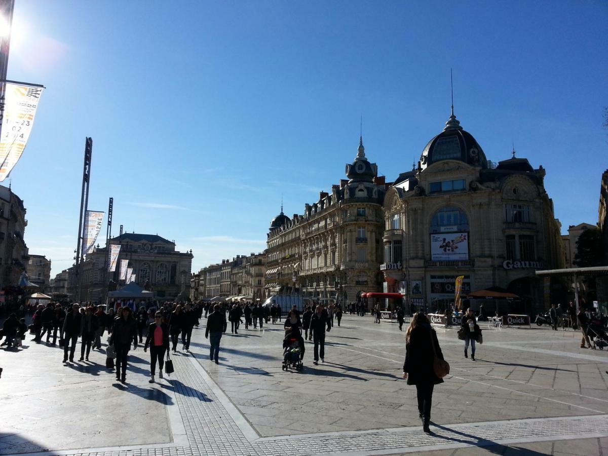 Апартаменти Chambre Montpellier Campanules Екстер'єр фото